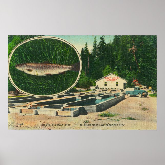 Póster Vista de Trout Haven HatcheryGasquet, CA (Frente)