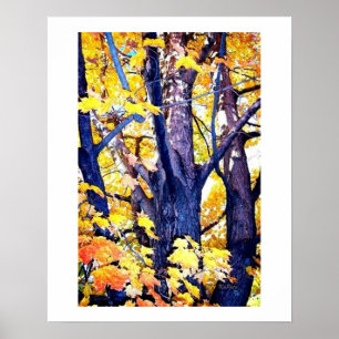 Póster Vista de trucos en otoño