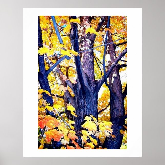 Póster Vista de trucos en otoño (Frente)