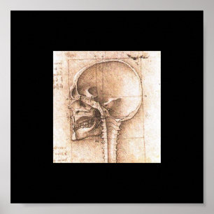Póster Vista de un cráneo de Leonardo da Vinci C. 1489