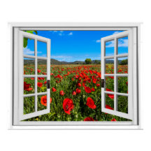 Vista de ventana de errores de campo de disquete