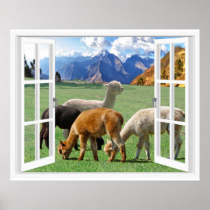 Póster Vista de ventana de montaña con alpaca