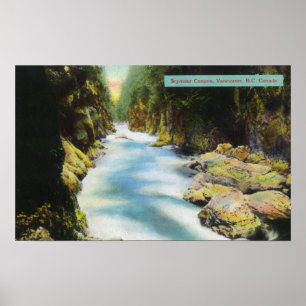 Póster Vista del barranco de Seymour