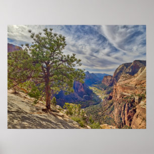 Póster Vista del Cañón de Sion desde Angels Landing
