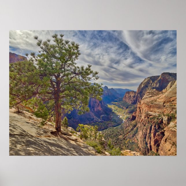 Póster Vista del cañón de Zion desde el aterrizaje de los (Frente)
