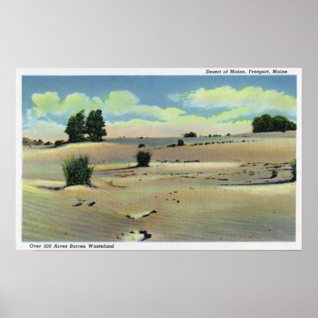 Póster Vista del desierto de Maine (Frente)