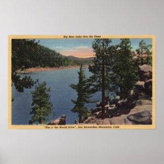 Póster Vista del lago a través de los Pinos
