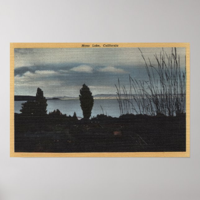 Póster Vista del lago Mono (Frente)