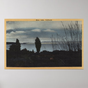 Póster Vista del mono lago