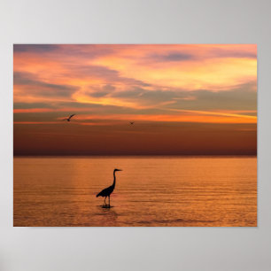 Póster Vista del océano al atardecer