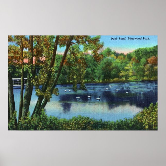 Póster Vista del parque Edgewood del estanque de pato (Frente)