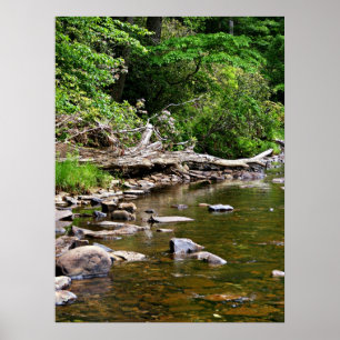 Póster Vista del río Greenbrier