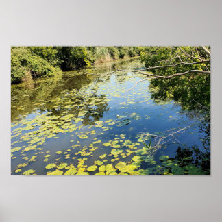Póster Vista del río Lake Erie Metropark