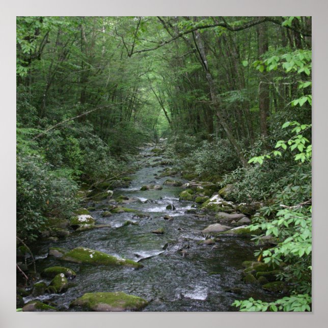Póster Vista del río Oconuluftee (Frente)