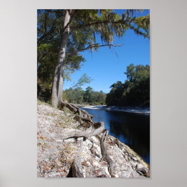 Póster Vista del río Suwannee (Frente)