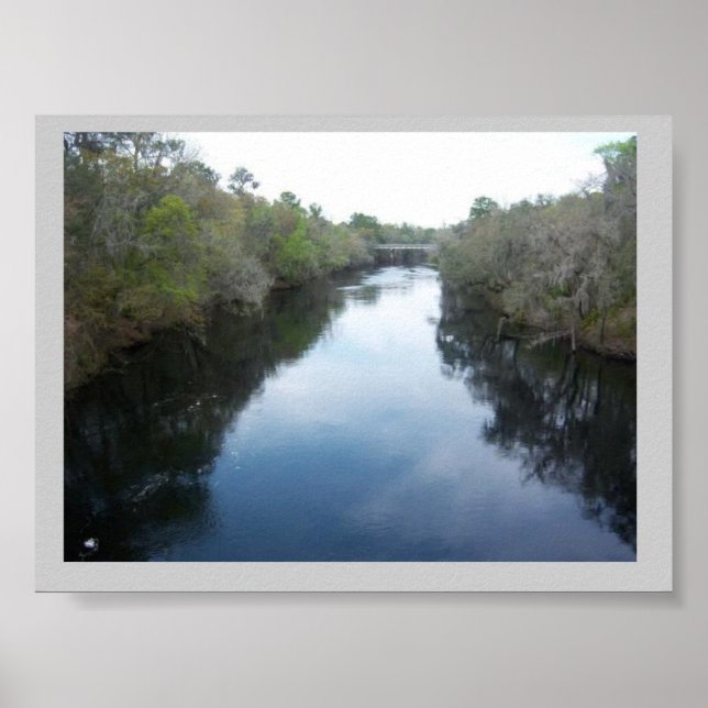 Póster Vista del río Suwannee Florida (Frente)
