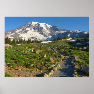 Póster Vista del sendero Skyline del Monte Rainier