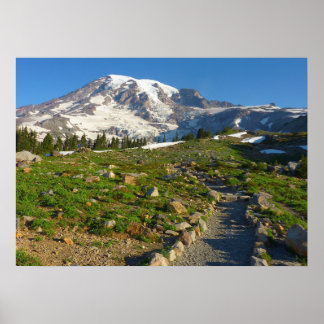 Póster Vista del sendero Skyline del Monte Rainier