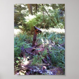 Póster Vista desde el sendero Hart's Cove Trail, Costa de