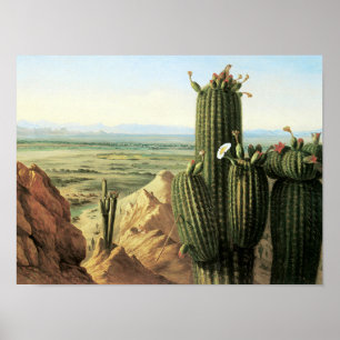 Póster Vista desde la montaña Maricopa cerca del río Gila