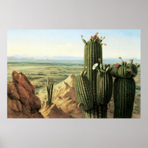 Póster Vista desde la montaña Maricopa cerca del río Gila