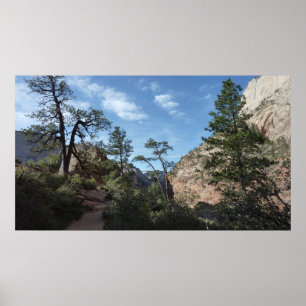 Póster Vista desde Scout Lookout en Zion National Park