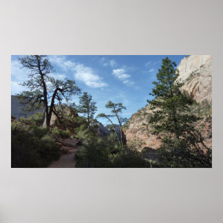 Póster Vista desde Scout Lookout en Zion National Park