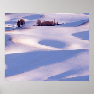 Póster Vista desde Steptoe Butte de colinas onduladas cub