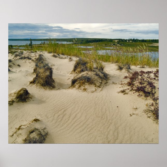 Póster Vista desde una colina arenosa sobre lagos y colin (Frente)
