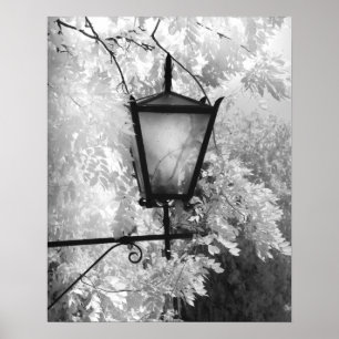 Póster Vista en blanco y negro de la luminaria