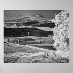 Póster Vista en blanco y negro de una carretera sinuosa