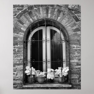 Póster Vista en blanco y negro de ventana y macetas