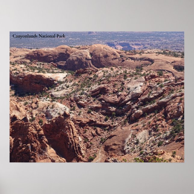 Póster Vista en el Parque Nacional Canyonlands (Frente)