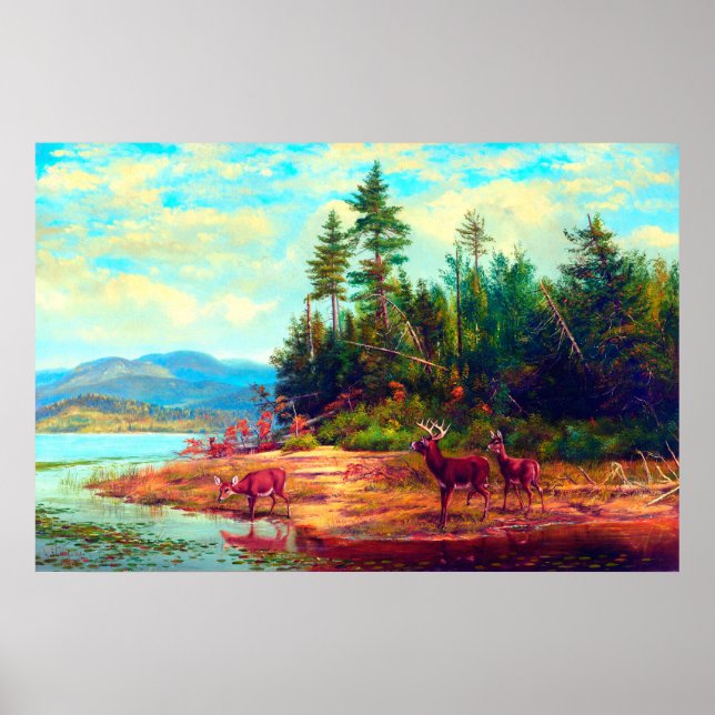 Póster Vista en Long Lake Arthur Fitzwilliam Tait 1882 (Frente)