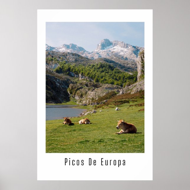 Póster Vista en Picos de Europa, Lagos de Covadonga (Frente)
