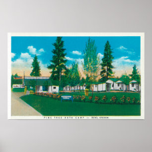 Póster Vista exterior del campo del auto del árbol de