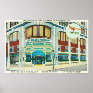 Póster Vista exterior del faisán dorado