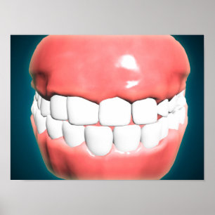 Póster Vista frontal de la boca humana con dientes y goma