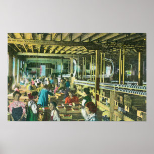 Póster Vista interior de la Cannería de jardinería del pa