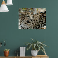 Vista lateral de cara de leopardo