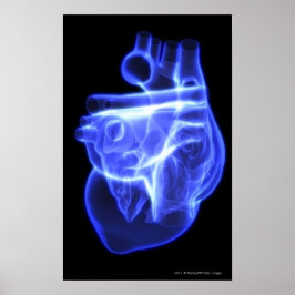 Póster Vista luminiscente del corazón humano