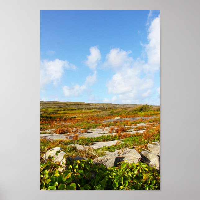 Póster Vista luminosa (Frente)