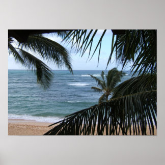 Póster vista luna de miel