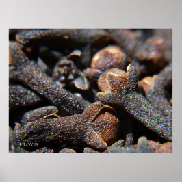 Póster Vista macro detallada de la hierba clavos
