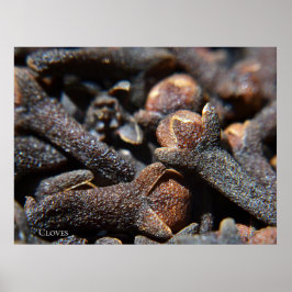 Póster Vista macro detallada de la hierba clavos
