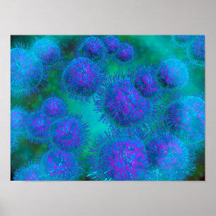 Póster Vista Microscópica De Diplococcus Bacterium