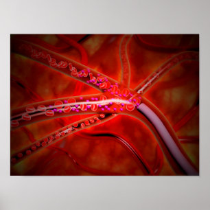 Póster Vista microscópica de la medicina que es inyectada