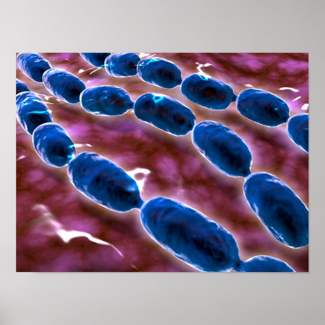 Póster Vista Microscópica De La Neumonía Bacteriana 1 (Frente)