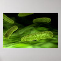 Vista Microscópica De Las Bacterias 1
