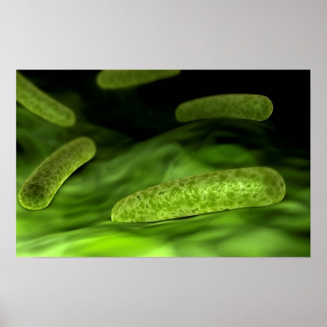Póster Vista Microscópica De Las Bacterias 1 (Frente)